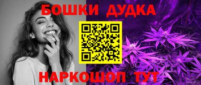крисы Нальчик