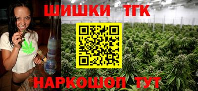 крисы Нальчик