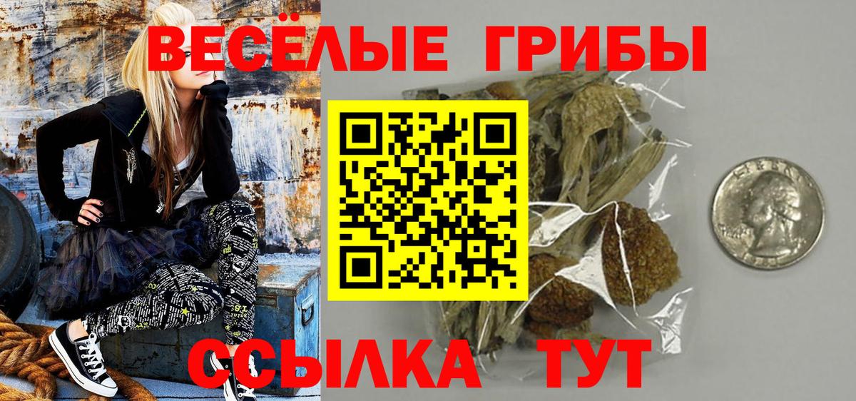 Солнечногорск  Галлюциногенные грибы мицелий  Вход с VPN  Галлюциногенные грибы мухоморы 